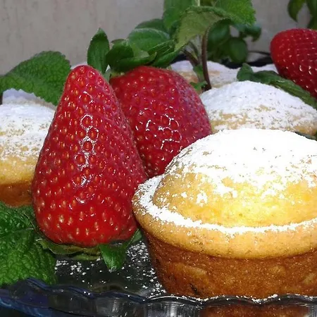 Fucsia Hotel Riccione