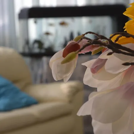 Fucsia 酒店 里乔内