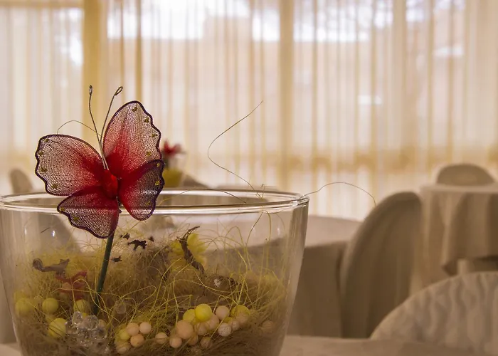 Hotel Fucsia Riccione