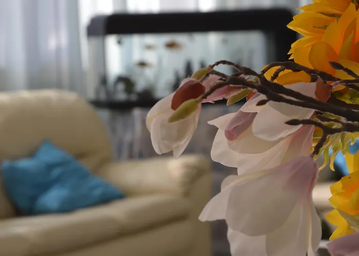 Fucsia ホテル リッチョーネ