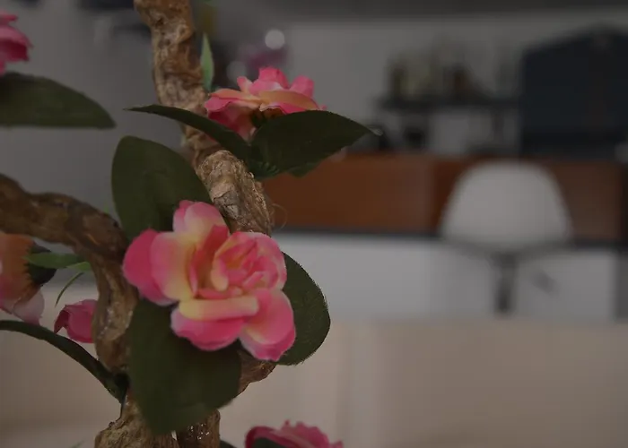 Fucsia リッチョーネ